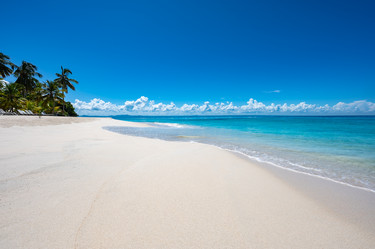 Similar image 21001195