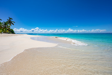 Similar image 21001196