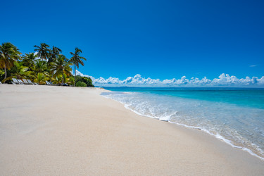 Similar image 21001265