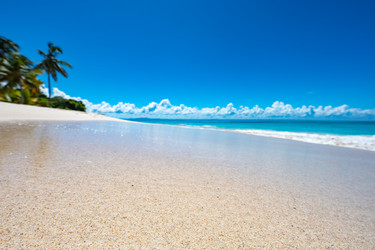 Similar image 21001267