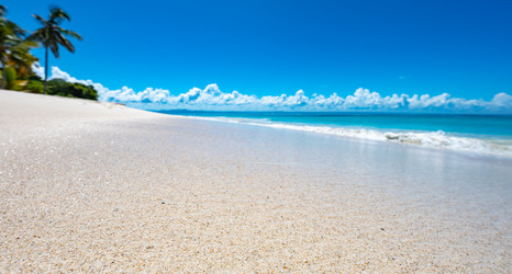 Similar image 21001268