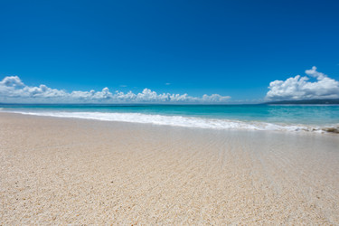 Similar image 21001269