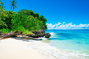 Similar image 21001329