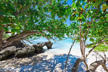 Similar image 21001333