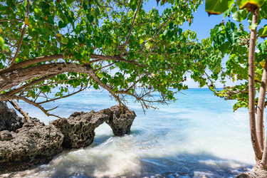 Similar image 21001334