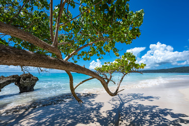 Similar image 21001336