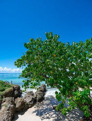 Similar image 21001337