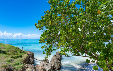 Similar image 21001433