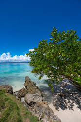 Similar image 21001762