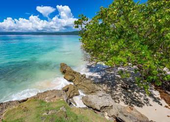 Similar image 21001784