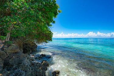 Similar image 21003627