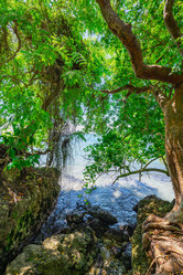 Similar image 20975470