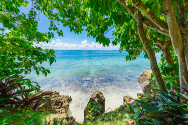 Similar image 20975472