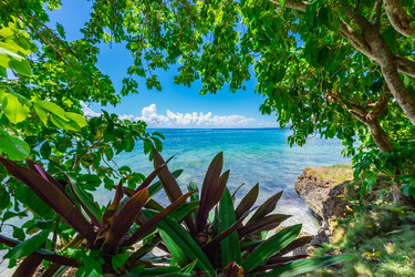 Similar image 20975474