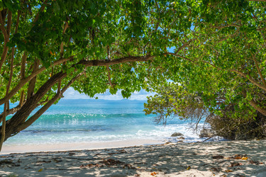 Similar image 20975477