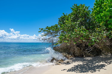 Similar image 20975478