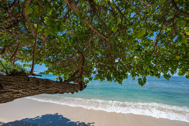 Similar image 20975481