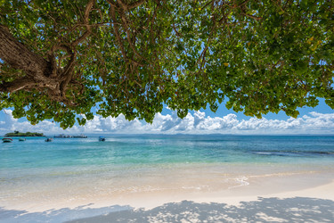 Similar image 20975591