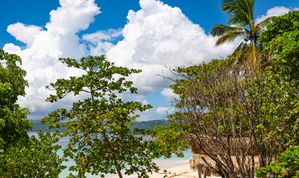 Similar image 20975594