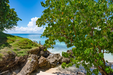 Similar image 20975599