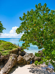 Similar image 20975600