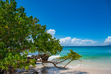 Similar image 20975603