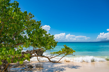 Similar image 20975604