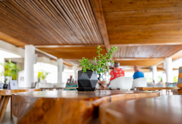 Similar image 21001225