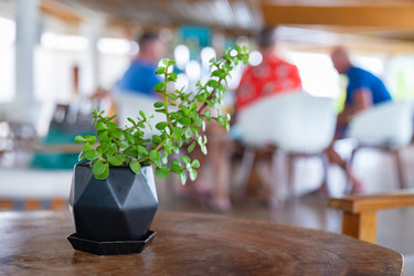 Similar image 21001227