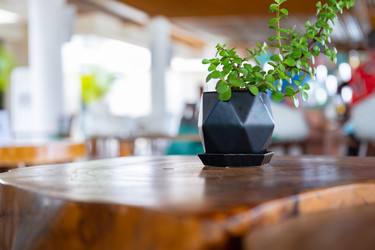 Similar image 21001228