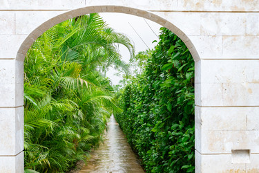 Similar image 21001347