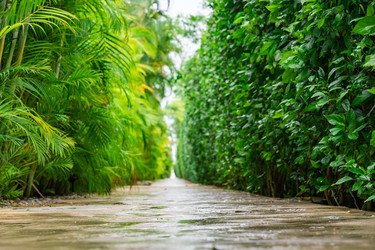 Similar image 21001350