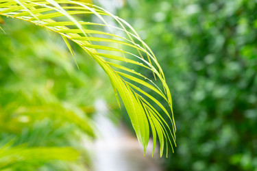 Similar image 21001435