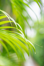 Similar image 21001436