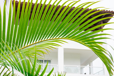 Similar image 21001815