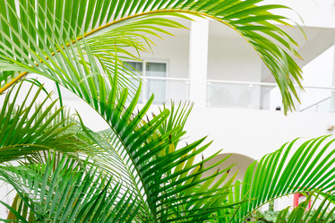 Similar image 21001816