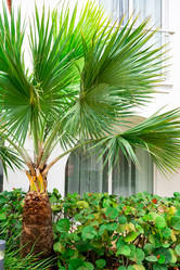 Similar image 21001817