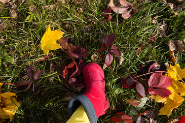 Similar image 20982709