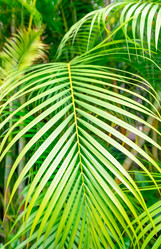 Similar image 20992889