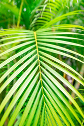 Similar image 20993137