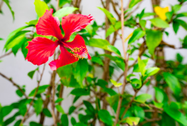 Similar image 20993138