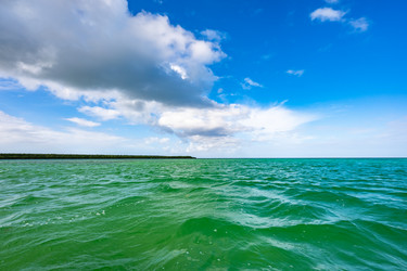 Similar image 20993155