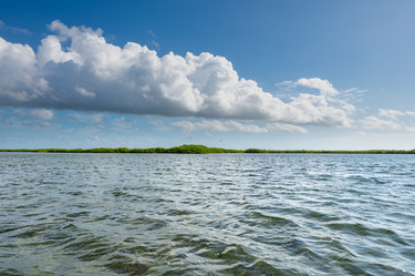 Similar image 20993157