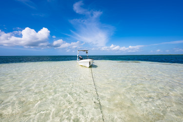 Similar image 20994517