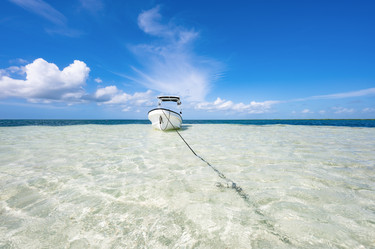 Similar image 20994518