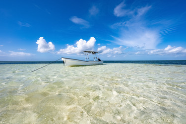 Similar image 20994519