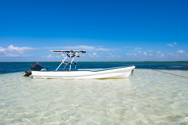 Similar image 20994521