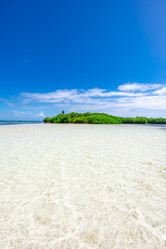 Similar image 20994526