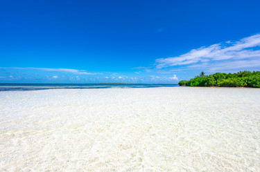 Similar image 20994527