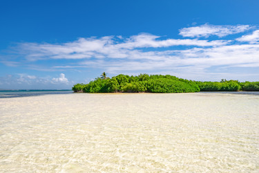 Similar image 21003683